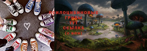 ГАЛЛЮЦИНОГЕННЫЕ ГРИБЫ Алзамай