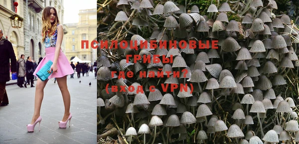 ГАЛЛЮЦИНОГЕННЫЕ ГРИБЫ Алзамай
